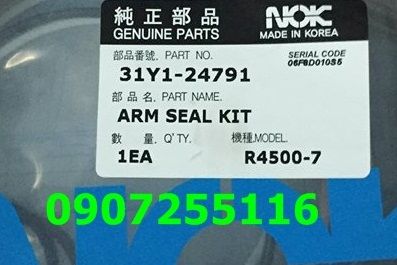 R4500LC-7 SEAL KIT HYUNDAI